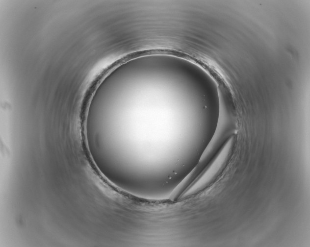 X0000090951072200708091324