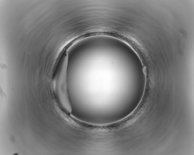 X0000090951073200708091324