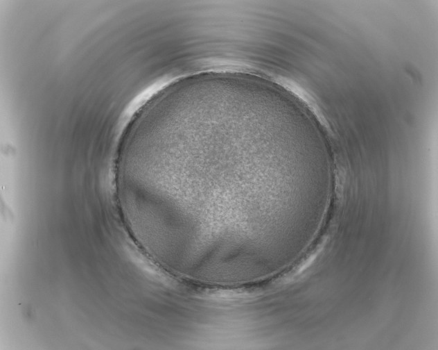 X0000090951074200708091324