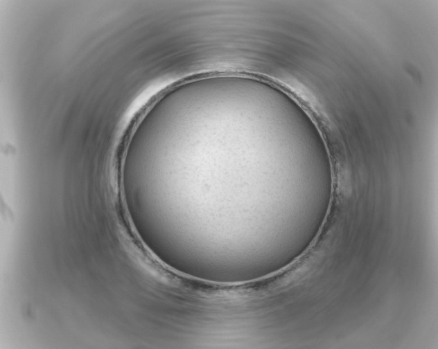 X0000090951078200708091324