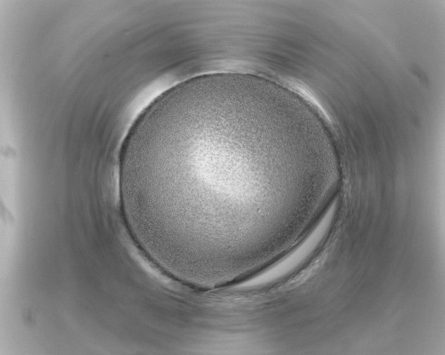 X0000090951079200708091324