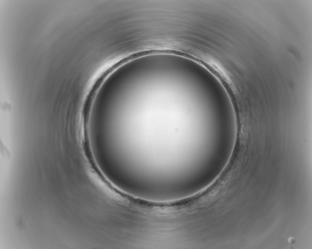 X0000090951080200708091324