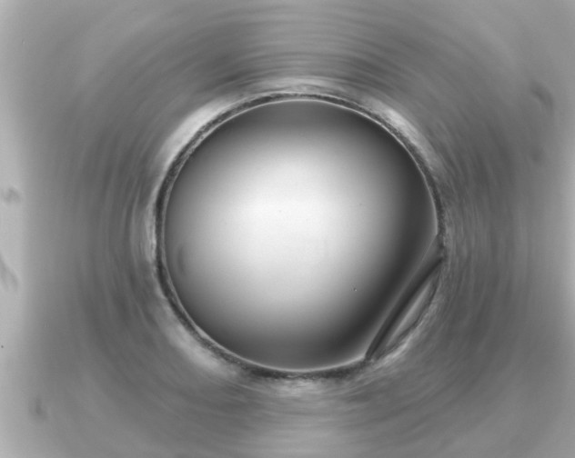 X0000090951082200708091324
