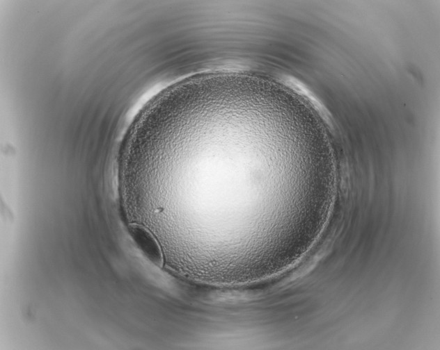 X0000090951083200708091324