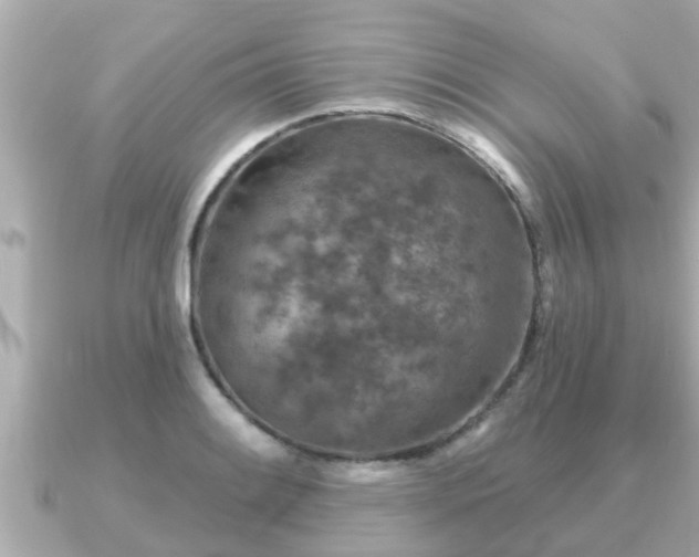 X0000090951084200708091324