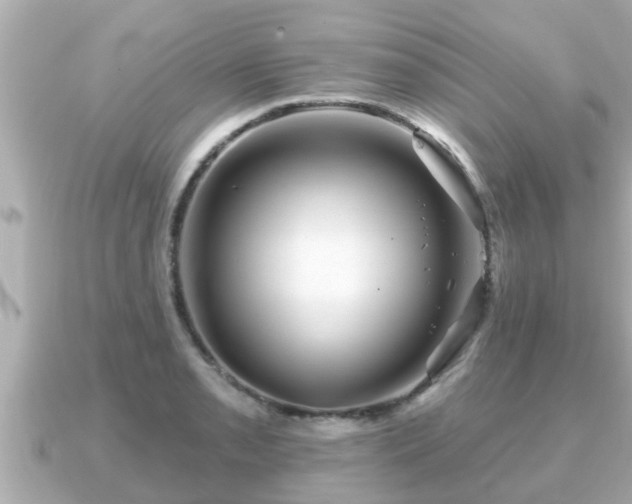 X0000090951085200708091324
