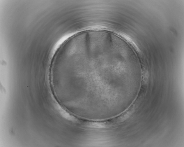 X0000090951086200708091324
