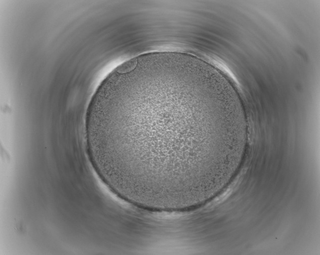 X0000090951087200708091324