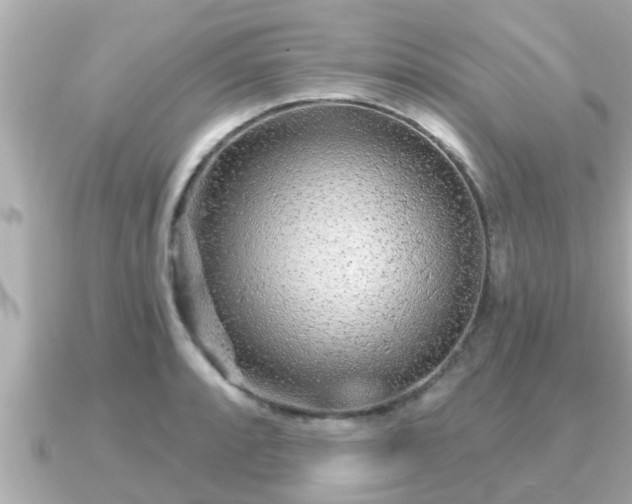 X0000090951088200708091324