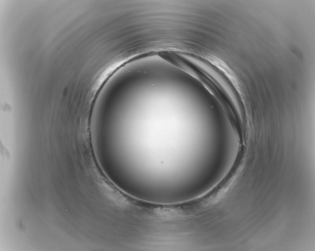 X0000090951089200708091324