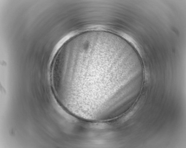 X0000090951090200708091324