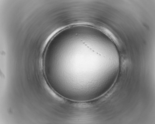 X0000090951092200708091324