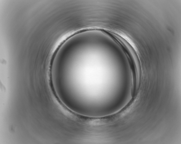 X0000090951093200708091324