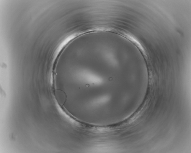 X0000090951095200708091324