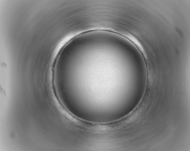 X0000090951096200708091324