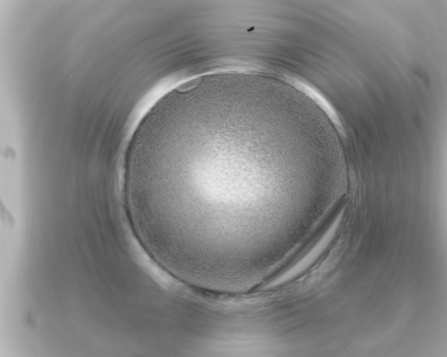 X0000090951099200708091324