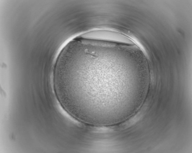 X0000090951100200708091324