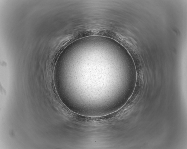 X0000090951105200708091323