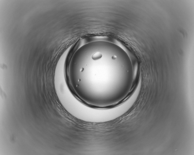 X0000090951106200708091323
