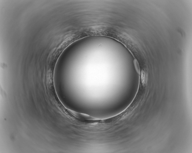 X0000090951107200708091323