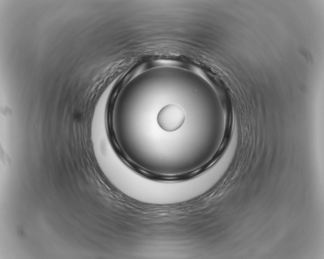 X0000090951108200708091323