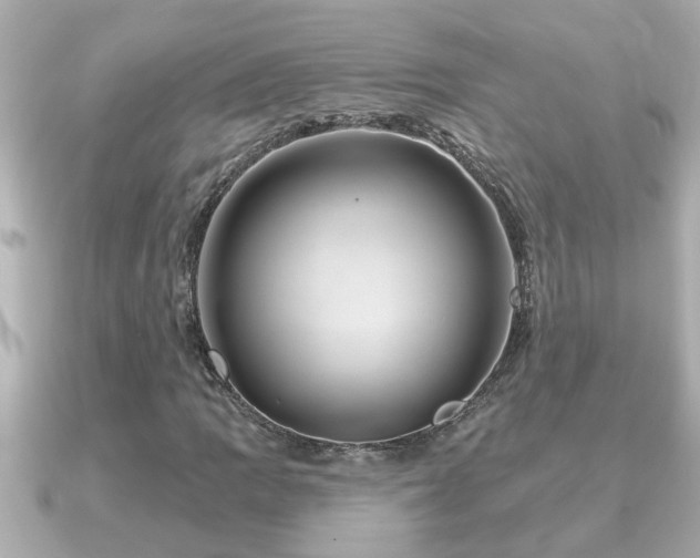 X0000090951109200708091323