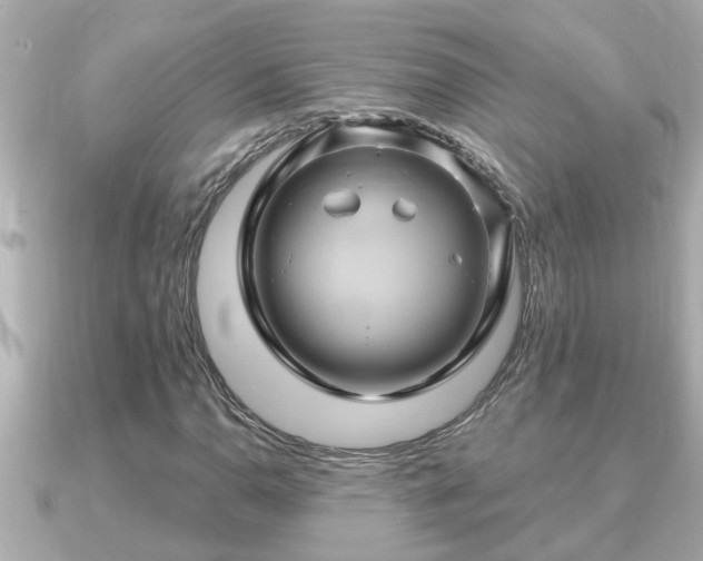 X0000090951110200708091323