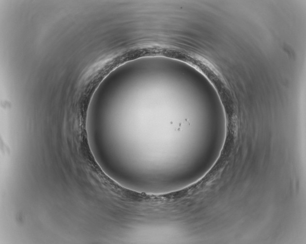 X0000090951111200708091323