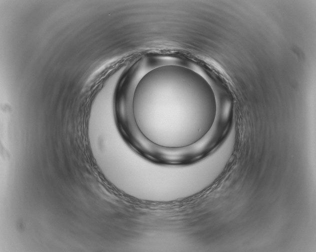 X0000090951112200708091323