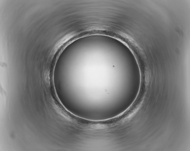 X0000090951113200708091323