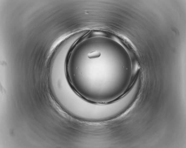 X0000090951114200708091323