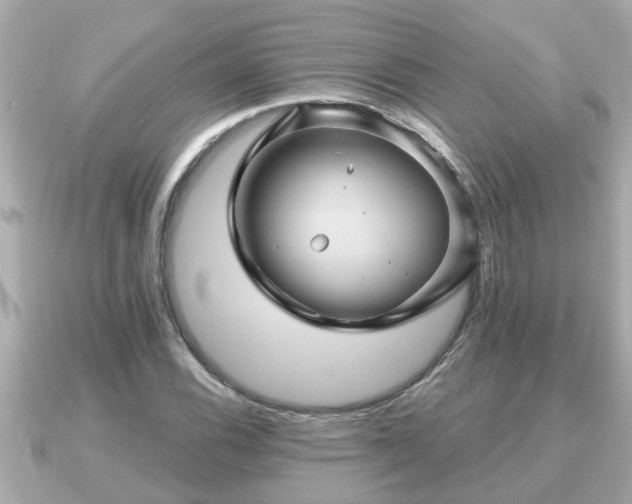 X0000090951116200708091323