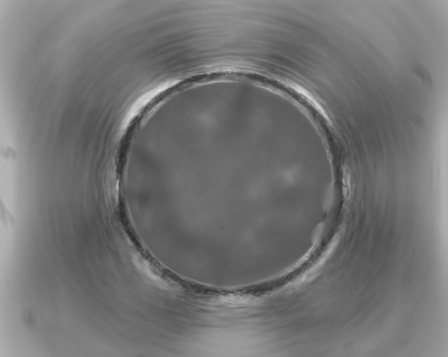 X0000090951117200708091323