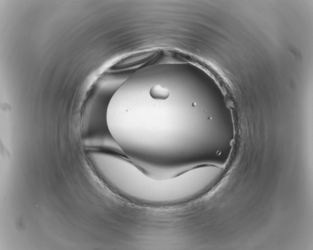 X0000090951118200708091323