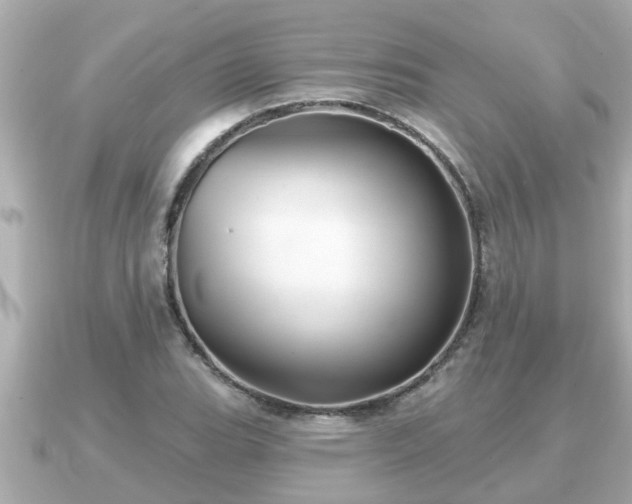 X0000090951119200708091323