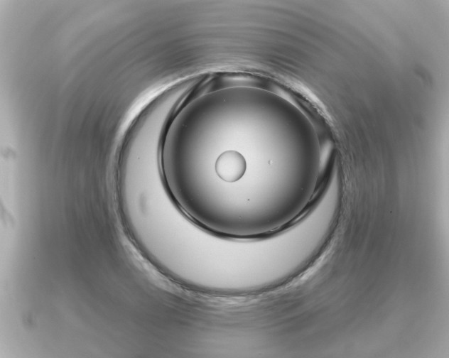X0000090951122200708091323