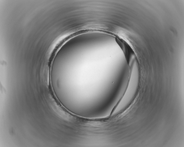 X0000090951123200708091323