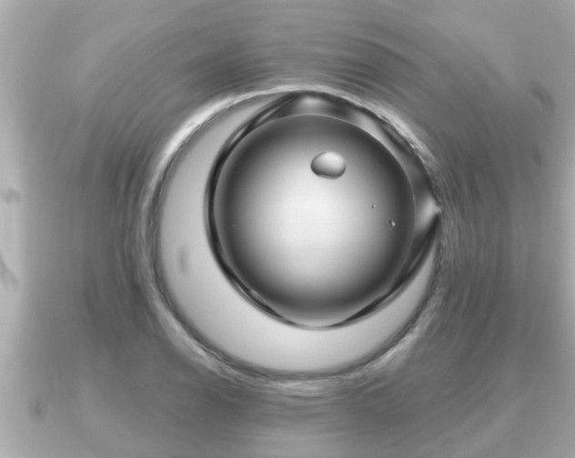 X0000090951126200708091323