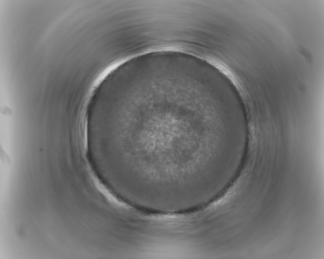 X0000090951127200708091323