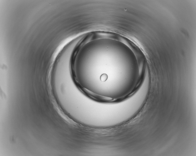 X0000090951128200708091323