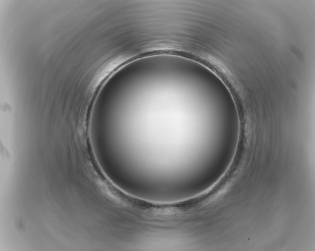 X0000090951129200708091323