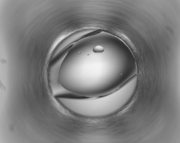 X0000090951130200708091323