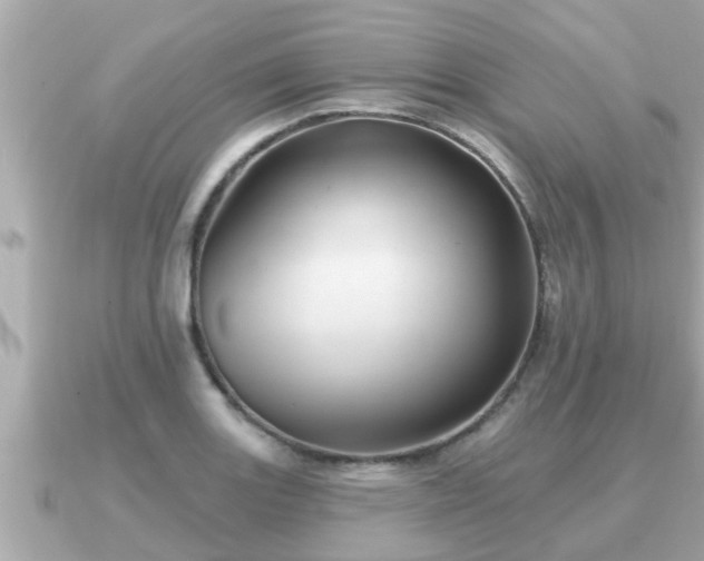 X0000090951131200708091323