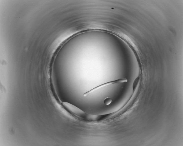 X0000090951133200708091323