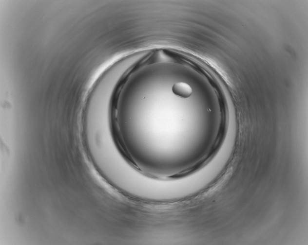 X0000090951134200708091323