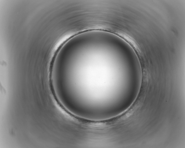 X0000090951135200708091323