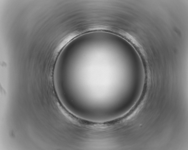 X0000090951137200708091323