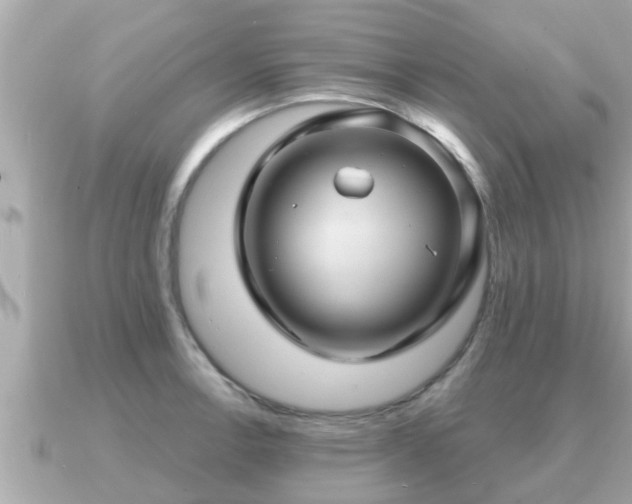 X0000090951138200708091323