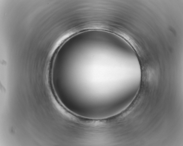 X0000090951139200708091323
