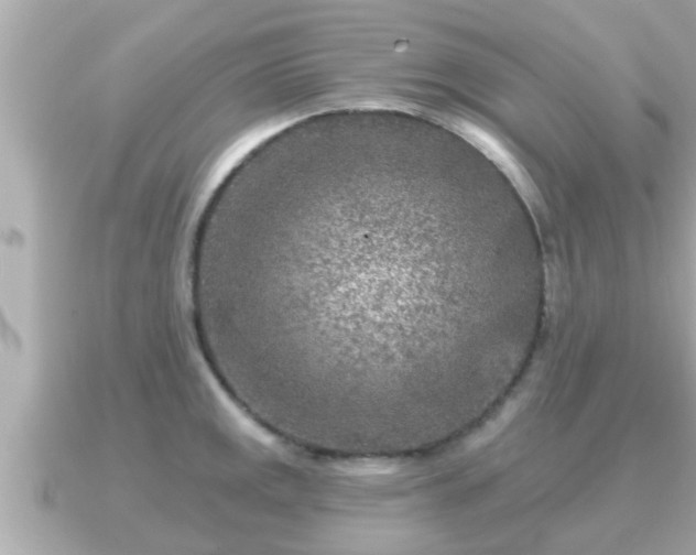 X0000090951141200708091323